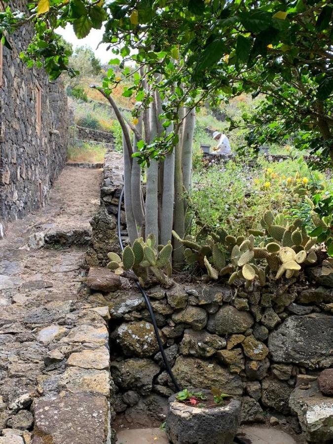 Casita Pedro Gonzalez Διαμέρισμα Erese Εξωτερικό φωτογραφία